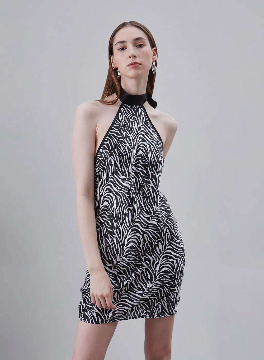 Classic Zebra