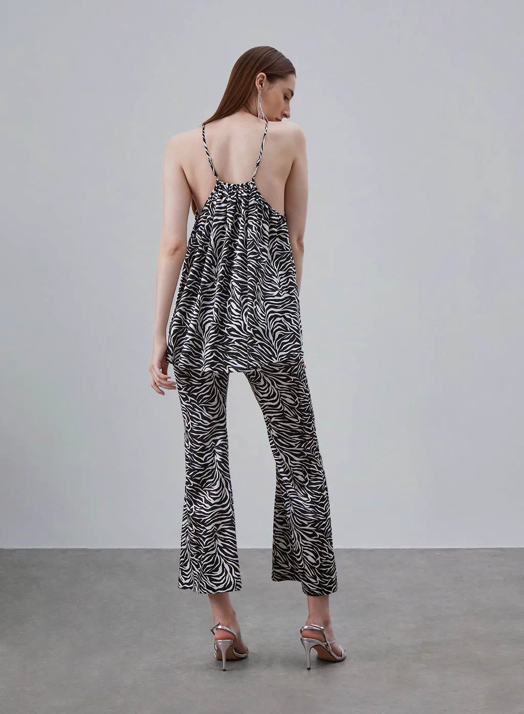 Classic Zebra