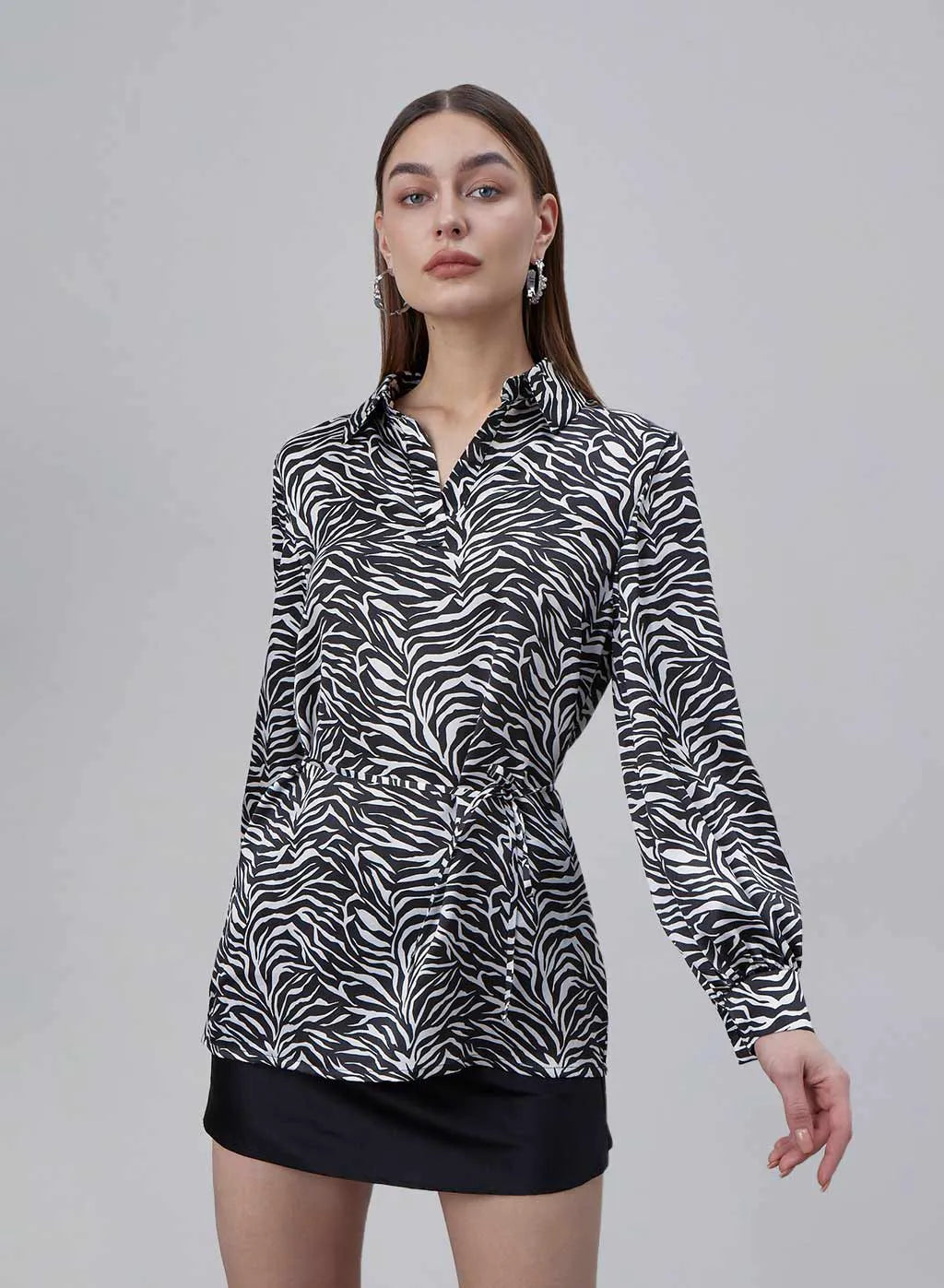 Classic Zebra