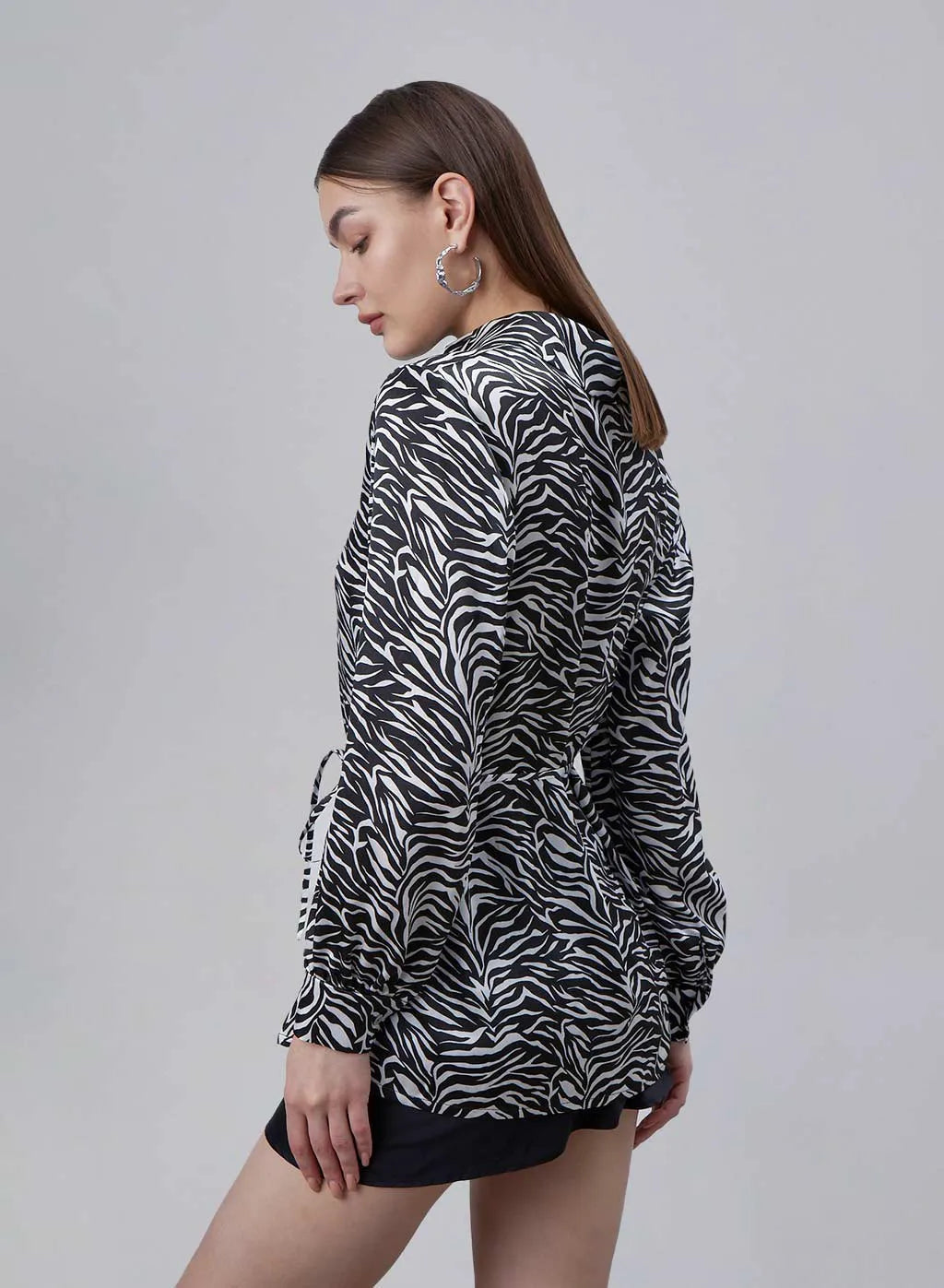 Classic Zebra