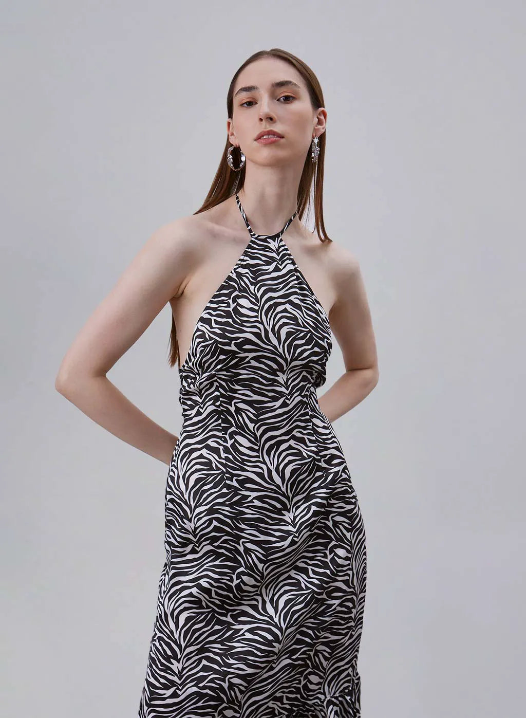 Classic Zebra