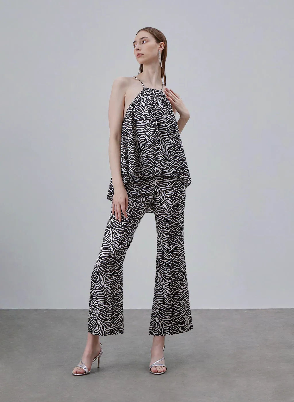 Classic Zebra