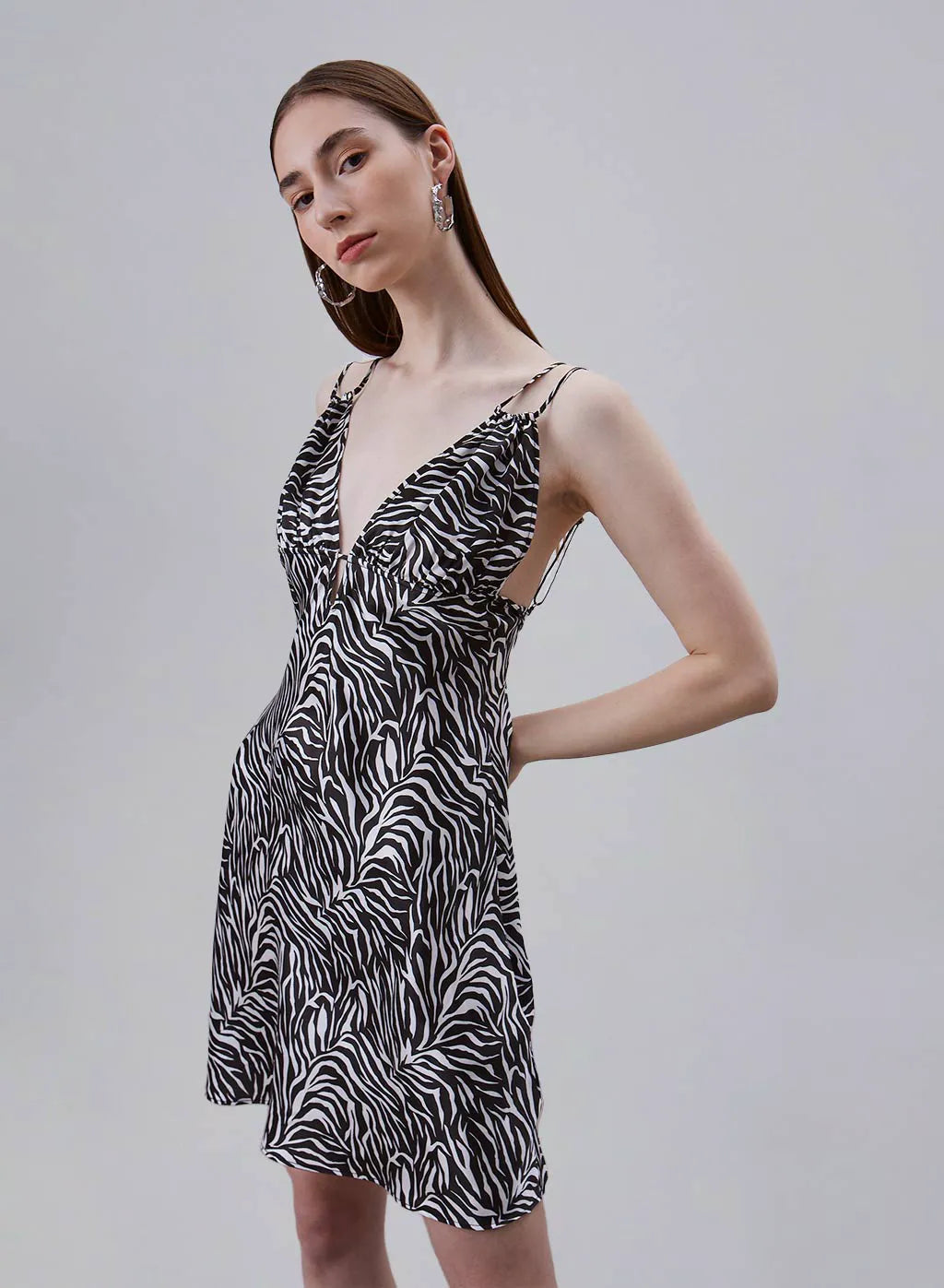 Classic Zebra