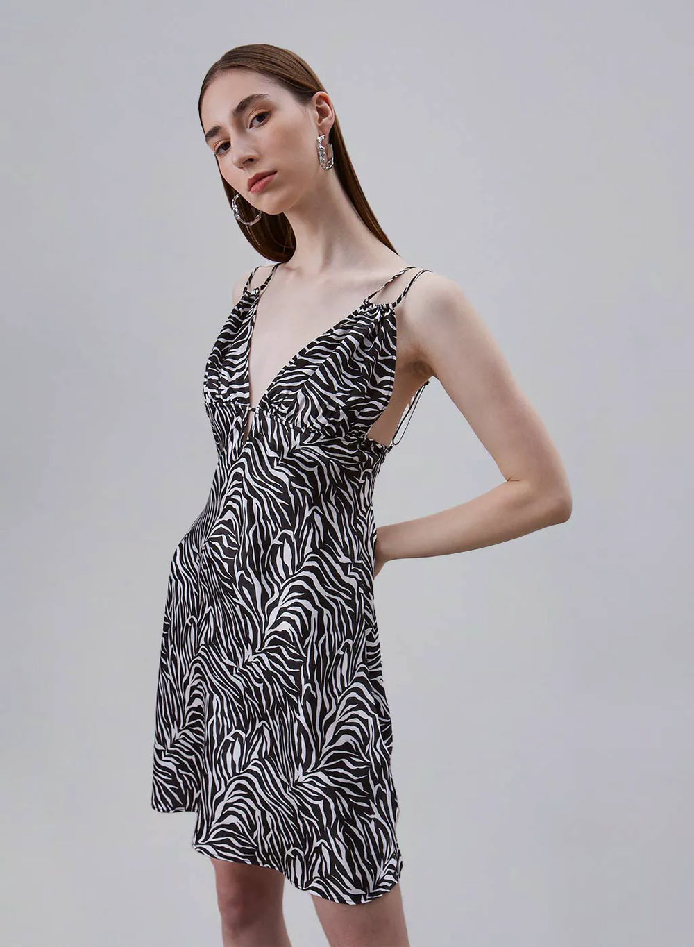 Classic Zebra