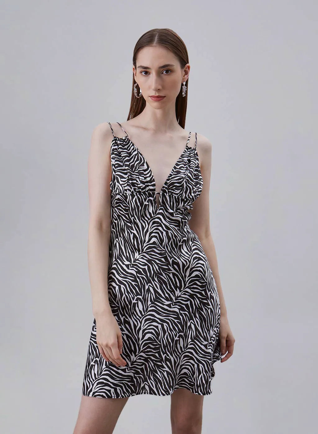 Classic Zebra