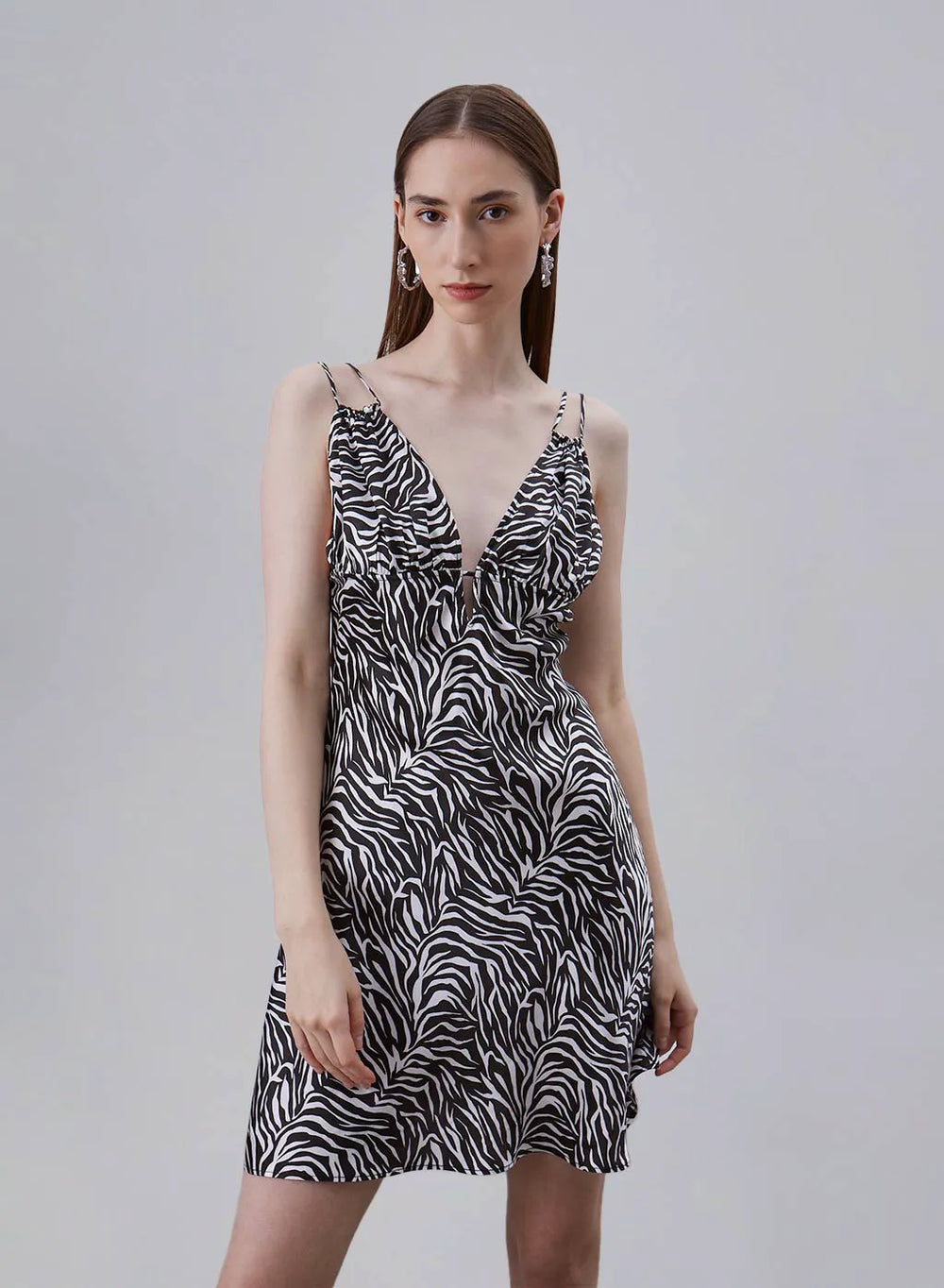 Classic Zebra