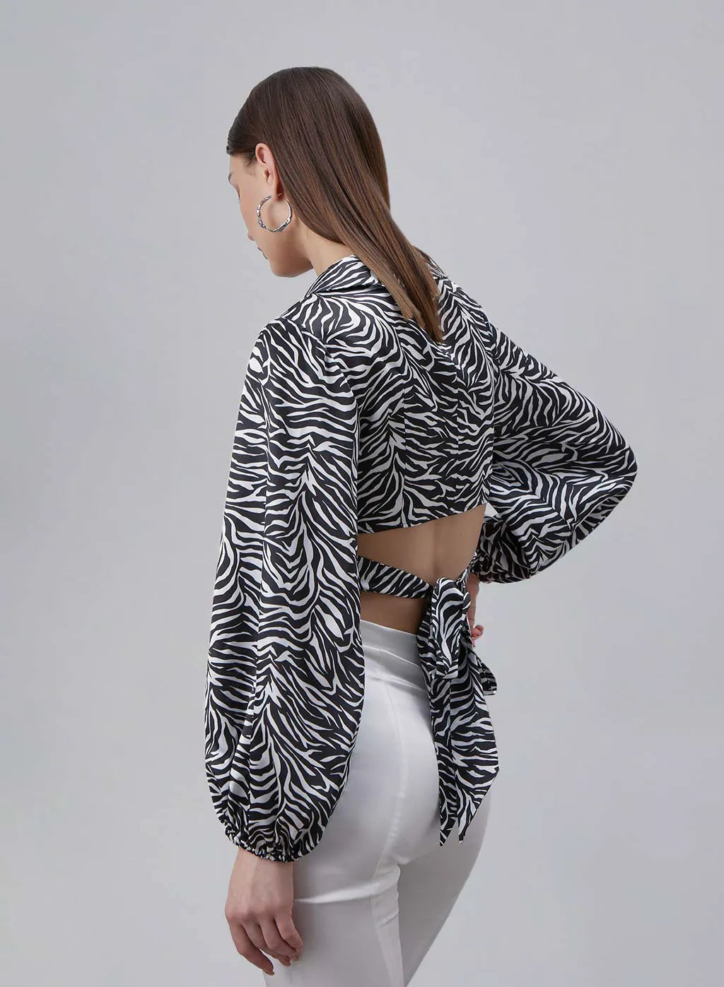 Classic Zebra