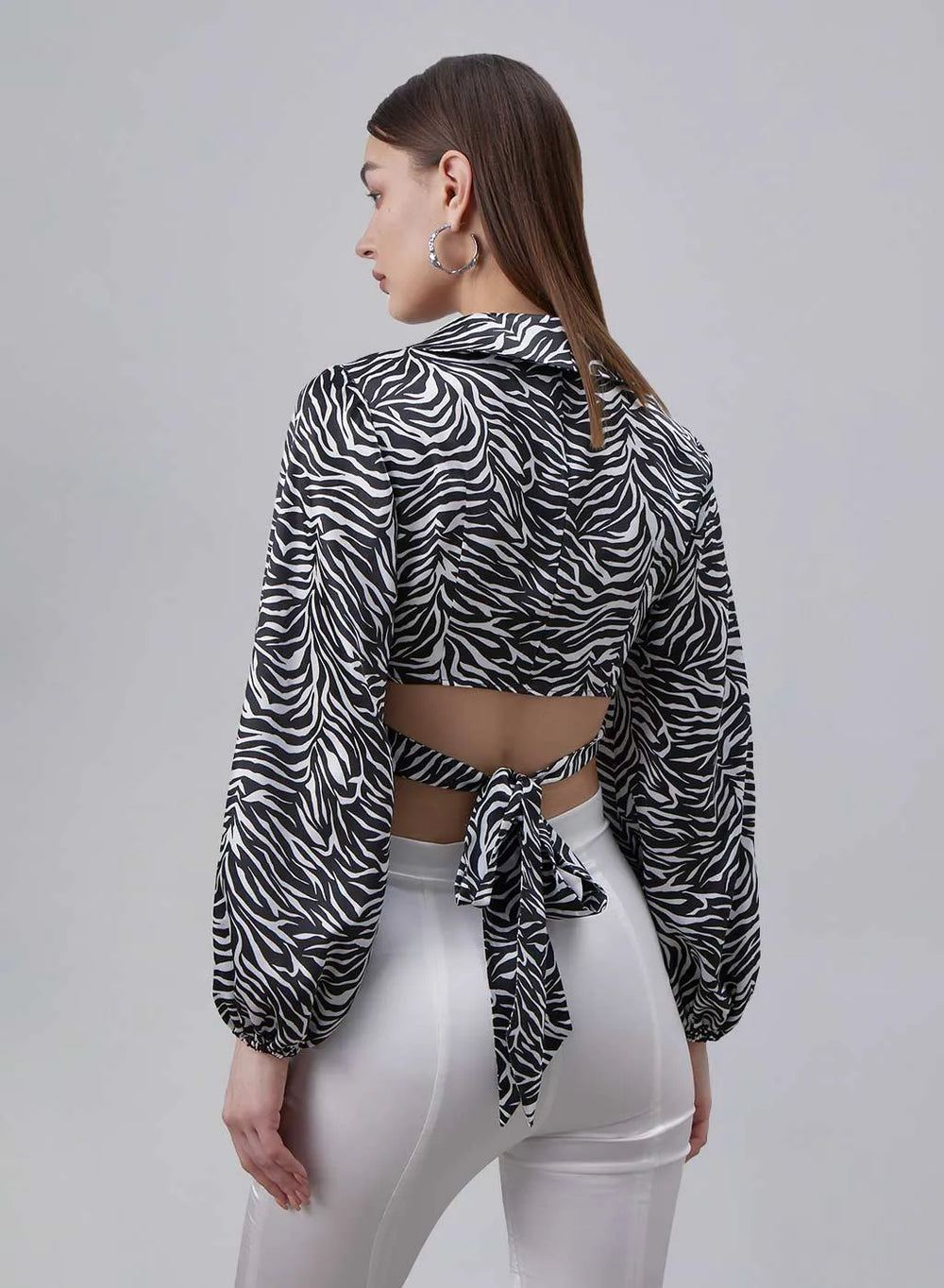 Classic Zebra