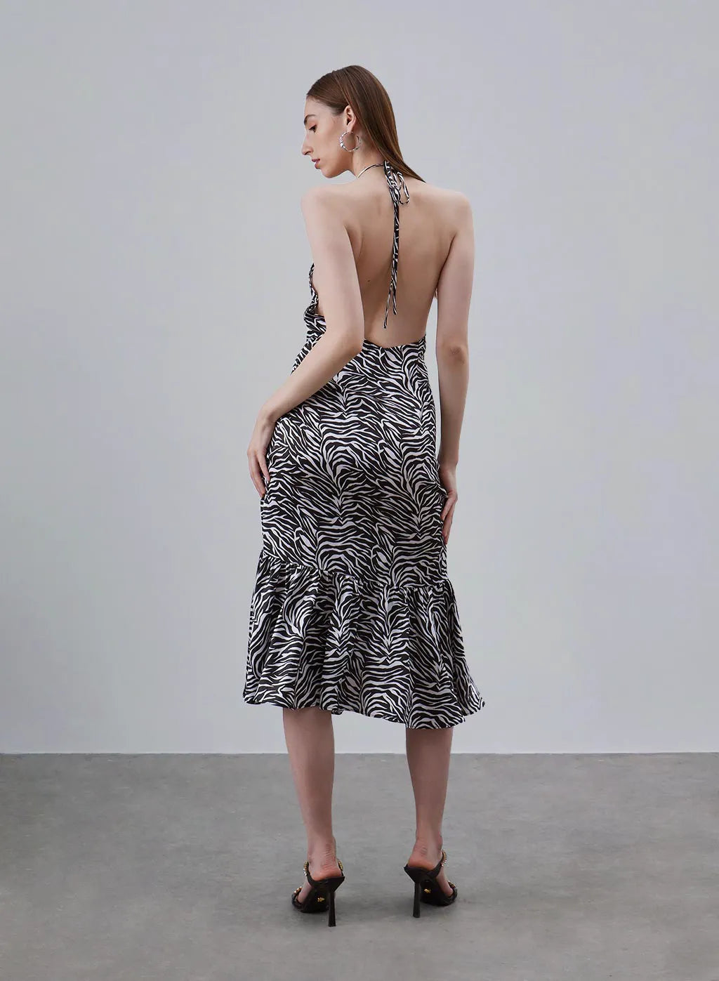 Classic Zebra