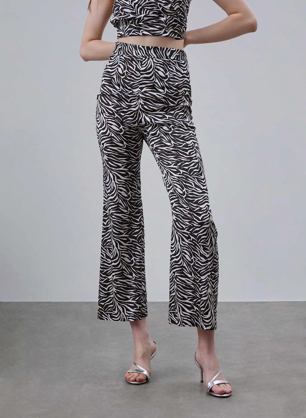 Classic Zebra