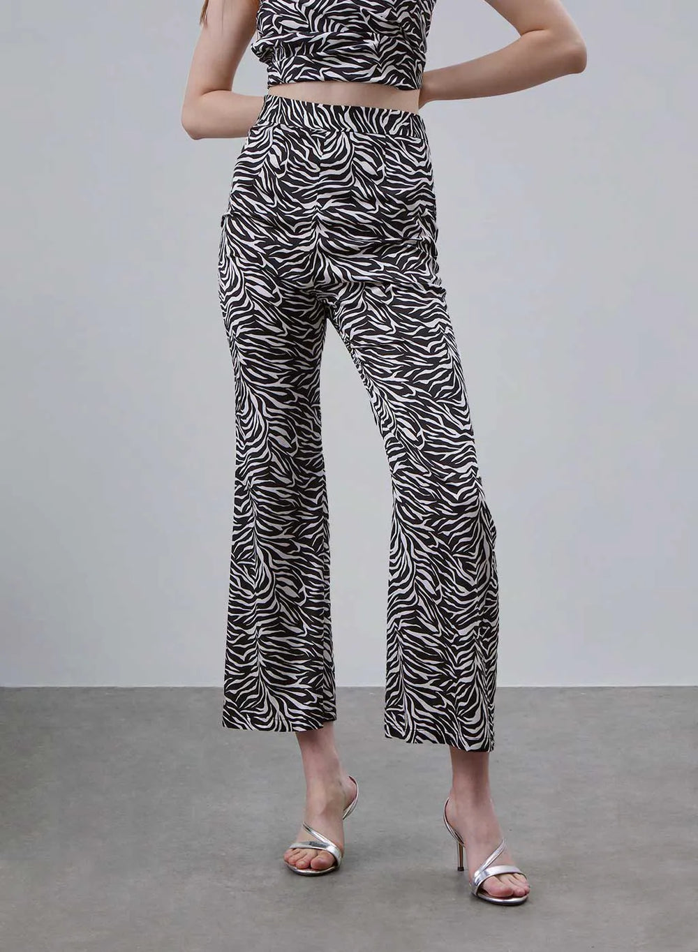 Classic Zebra