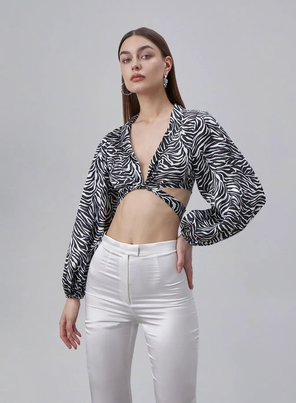Classic Zebra