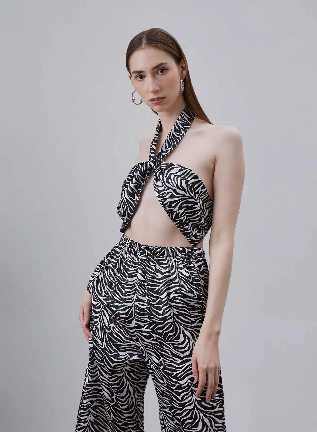 Classic Zebra