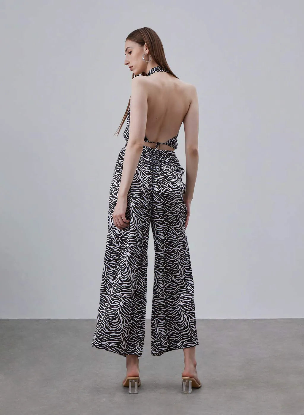 Classic Zebra